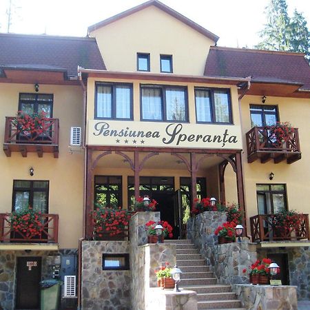 Pensiunea Speranta Hotel Совата Екстериор снимка