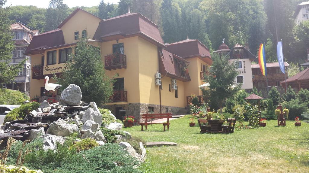 Pensiunea Speranta Hotel Совата Екстериор снимка