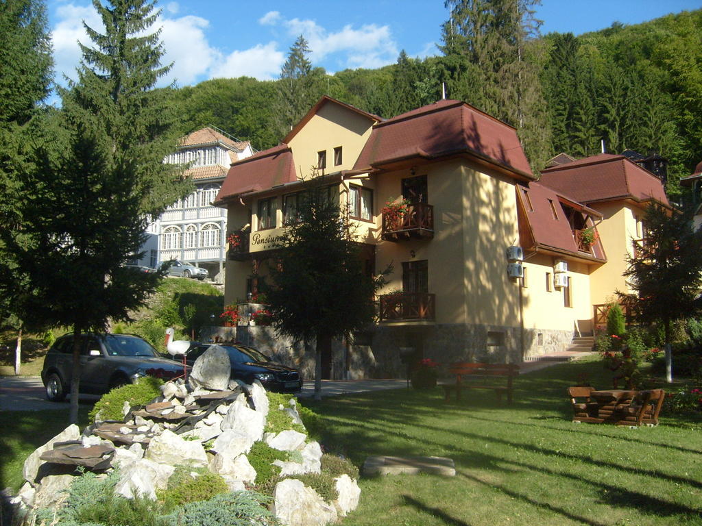 Pensiunea Speranta Hotel Совата Екстериор снимка