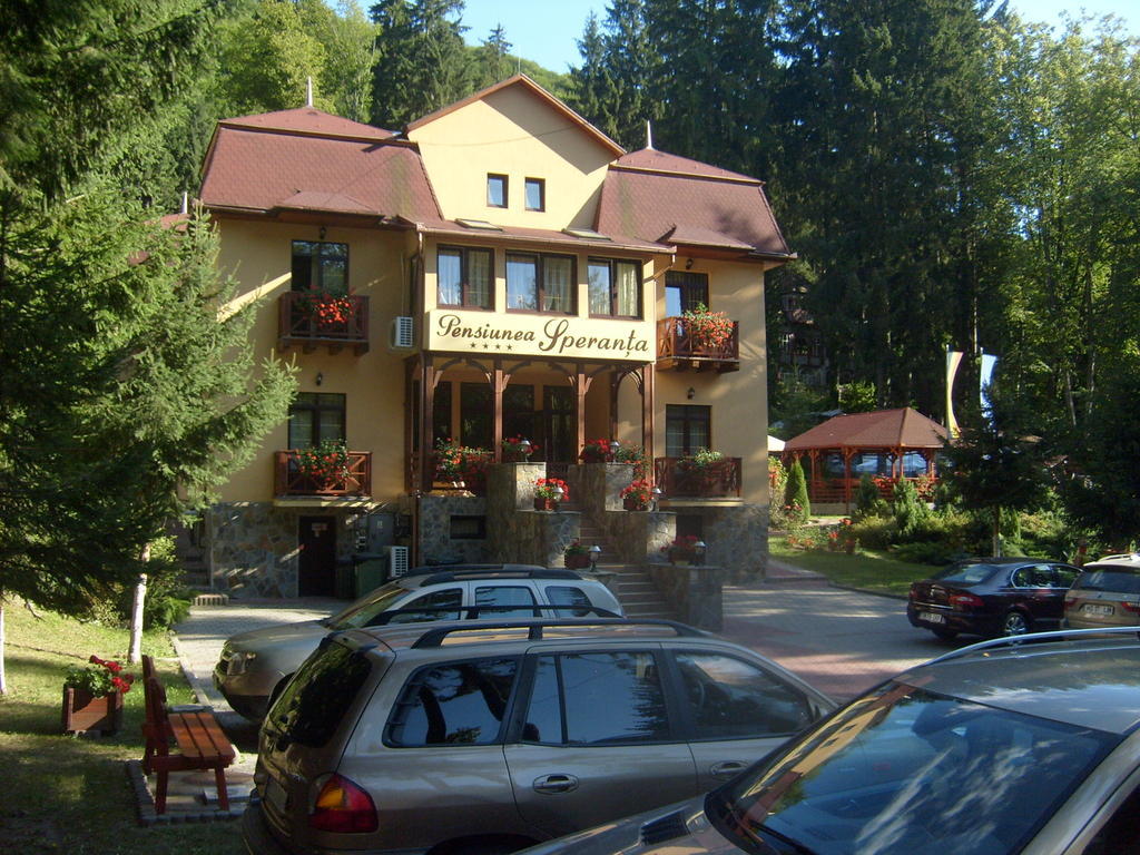 Pensiunea Speranta Hotel Совата Екстериор снимка