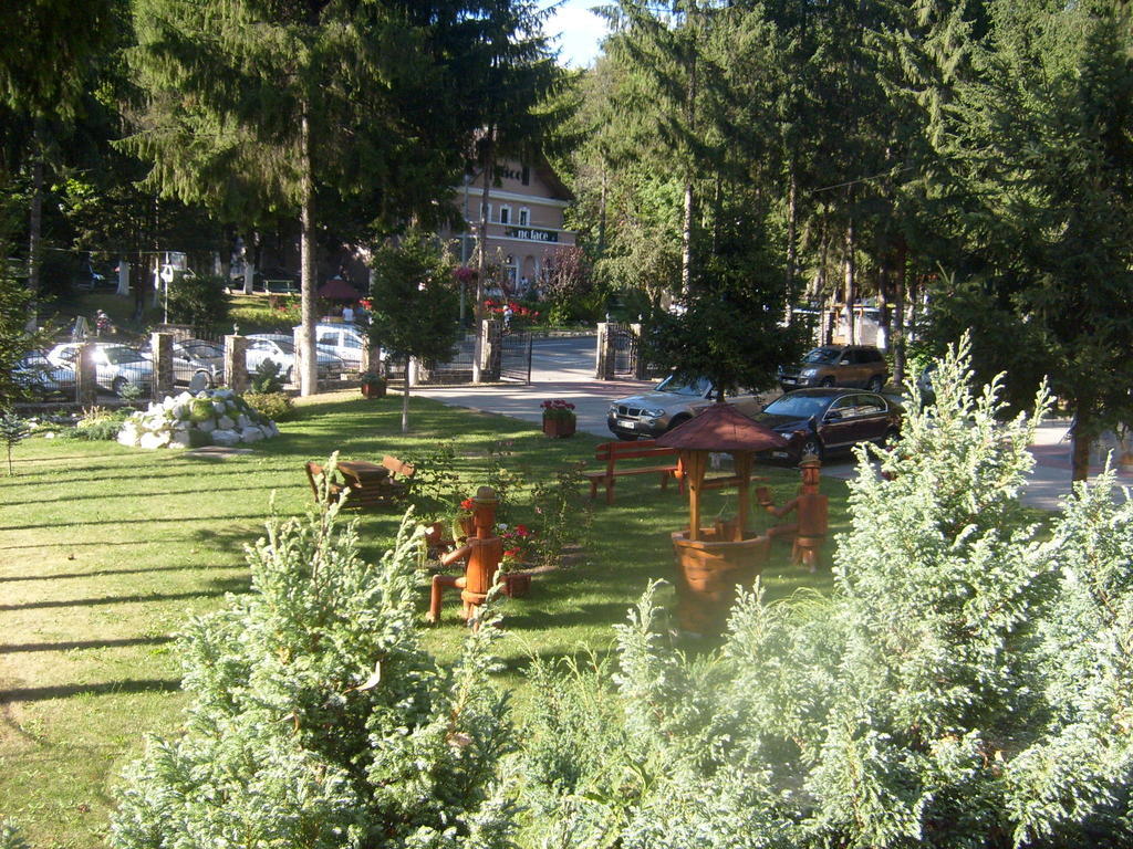 Pensiunea Speranta Hotel Совата Екстериор снимка