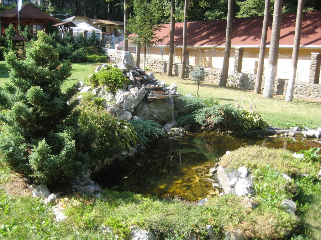 Pensiunea Speranta Hotel Совата Екстериор снимка