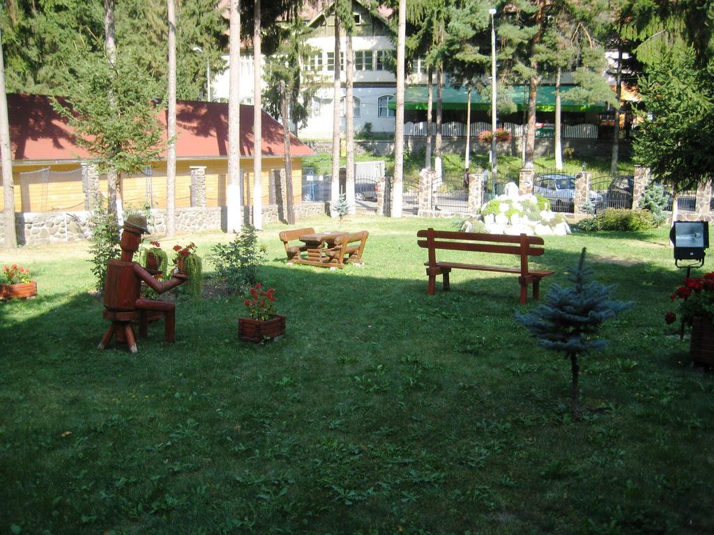 Pensiunea Speranta Hotel Совата Екстериор снимка